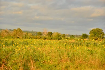 DSC_4320 (Large).JPG